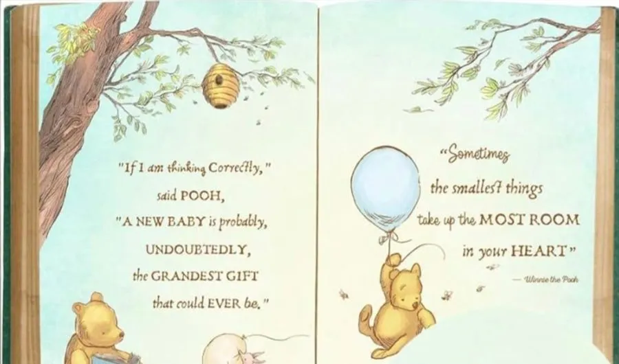 Fabric backdrop with Winnie the Pooh and Piglet quotes