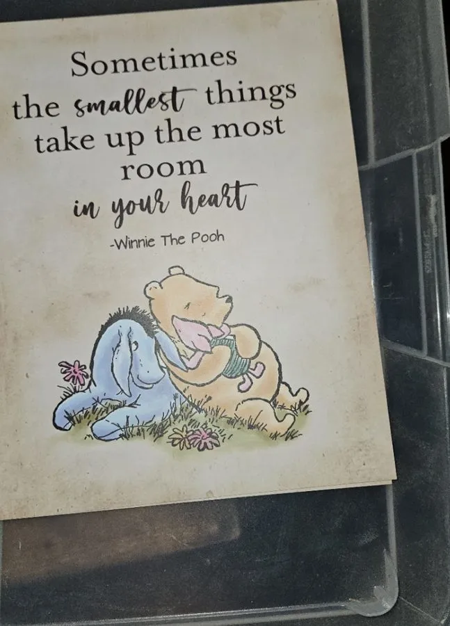 Smallest Things quote sign with Pooh and Eeyore
